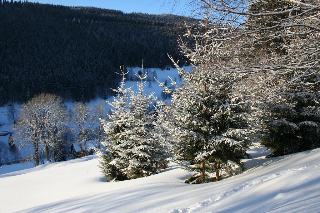 Penzion Pampeliska Pec pod Snezkou Bagian luar foto