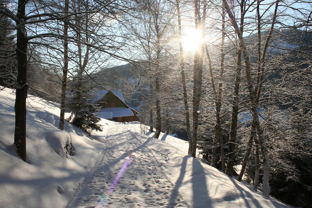 Penzion Pampeliska Pec pod Snezkou Bagian luar foto